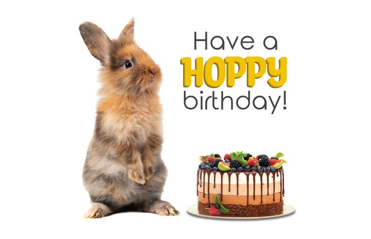 Plenty Gifts Kaart Hoppy Birthday