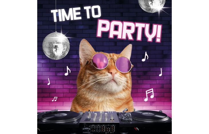 Plenty Gifts Kaart Time To Party