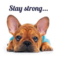 Plenty Gifts Kaart Stay Strong