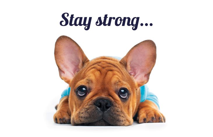 Plenty Gifts Kaart Stay Strong