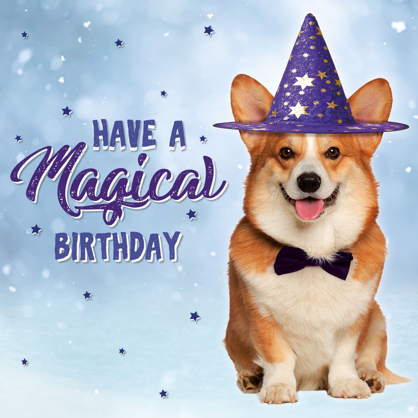 Plenty Gifts Kaart Magical Birthday