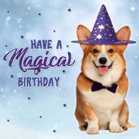 Plenty Gifts Kaart Magical Birthday