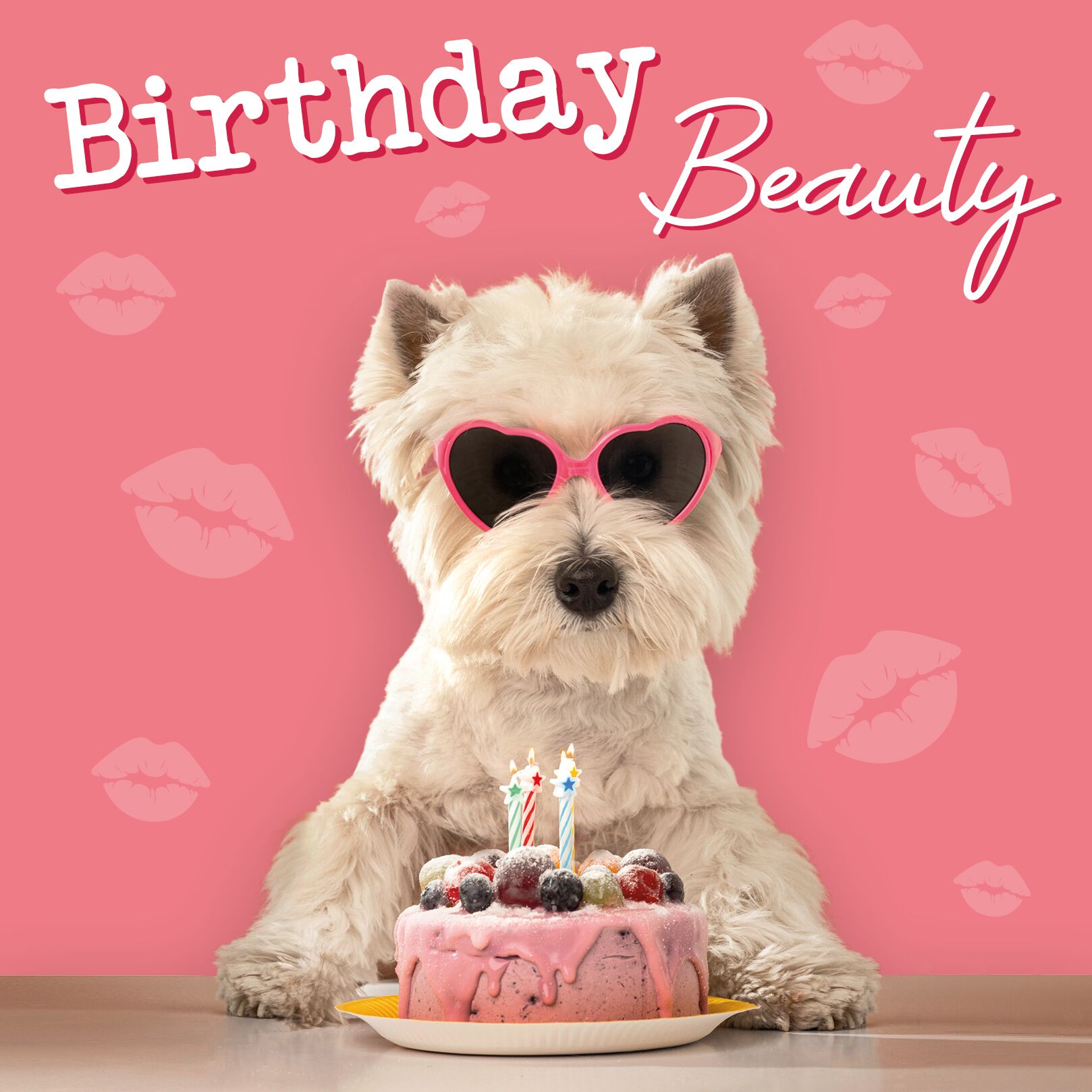 Plenty Gifts Kaart Birthday Beauty