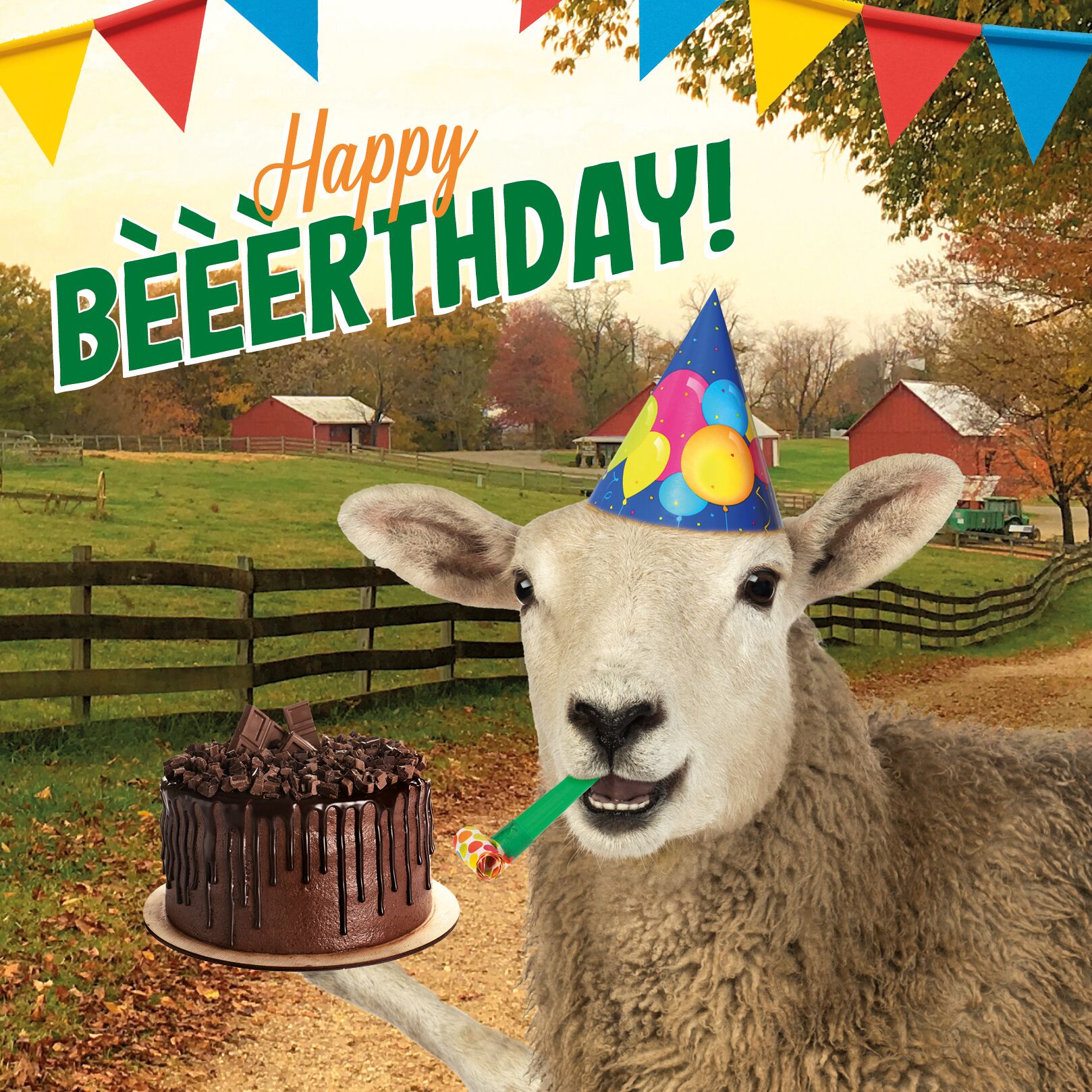 Plenty Gifts Kaart Happy Birthday Sheep