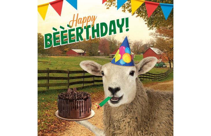 Plenty Gifts Kaart Happy Birthday Sheep