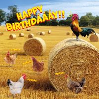 Plenty Gifts Kaart Happy Birthday Chickens