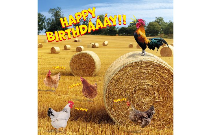 Plenty Gifts Kaart Happy Birthday Chickens