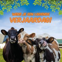 Plenty Gifts Kaart Loeiende Verjaardag