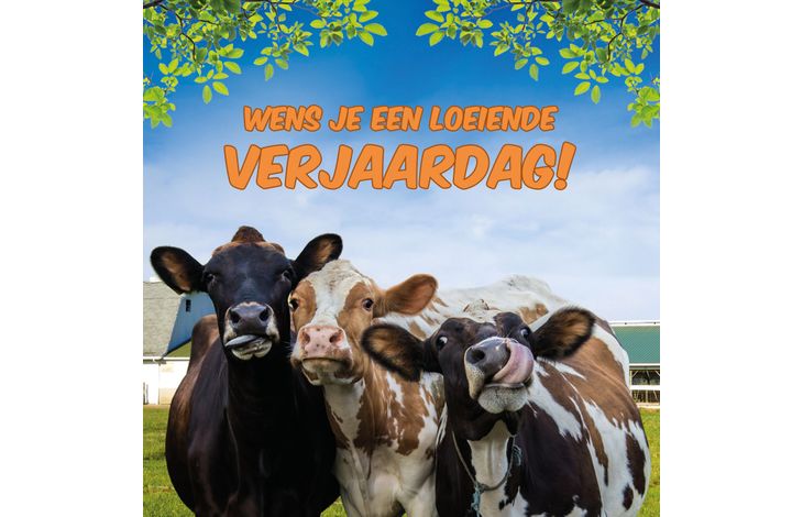 Plenty Gifts Kaart Loeiende Verjaardag