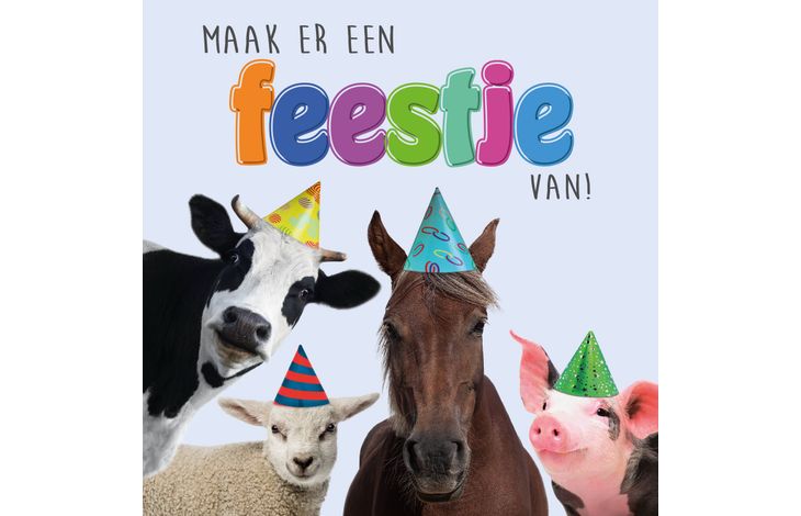 Plenty Gifts Kaart Feestje