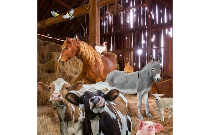 Plenty Gifts Kaart CS Farm Animals In Barn