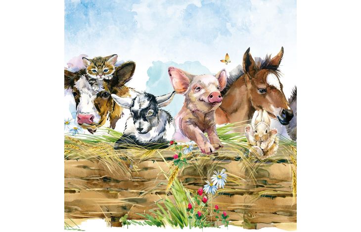 Plenty Gifts Kaart CS Animals Tree Stump