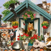 Plenty Gifts Kaart CS Cats On The Roof