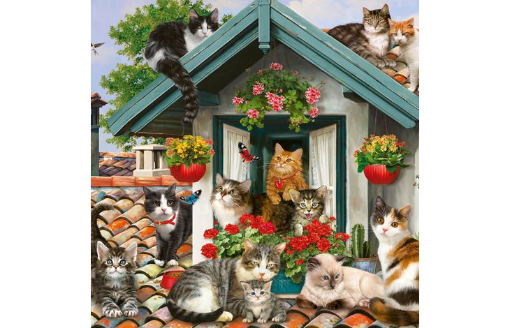 Plenty Gifts Kaart CS Cats On The Roof