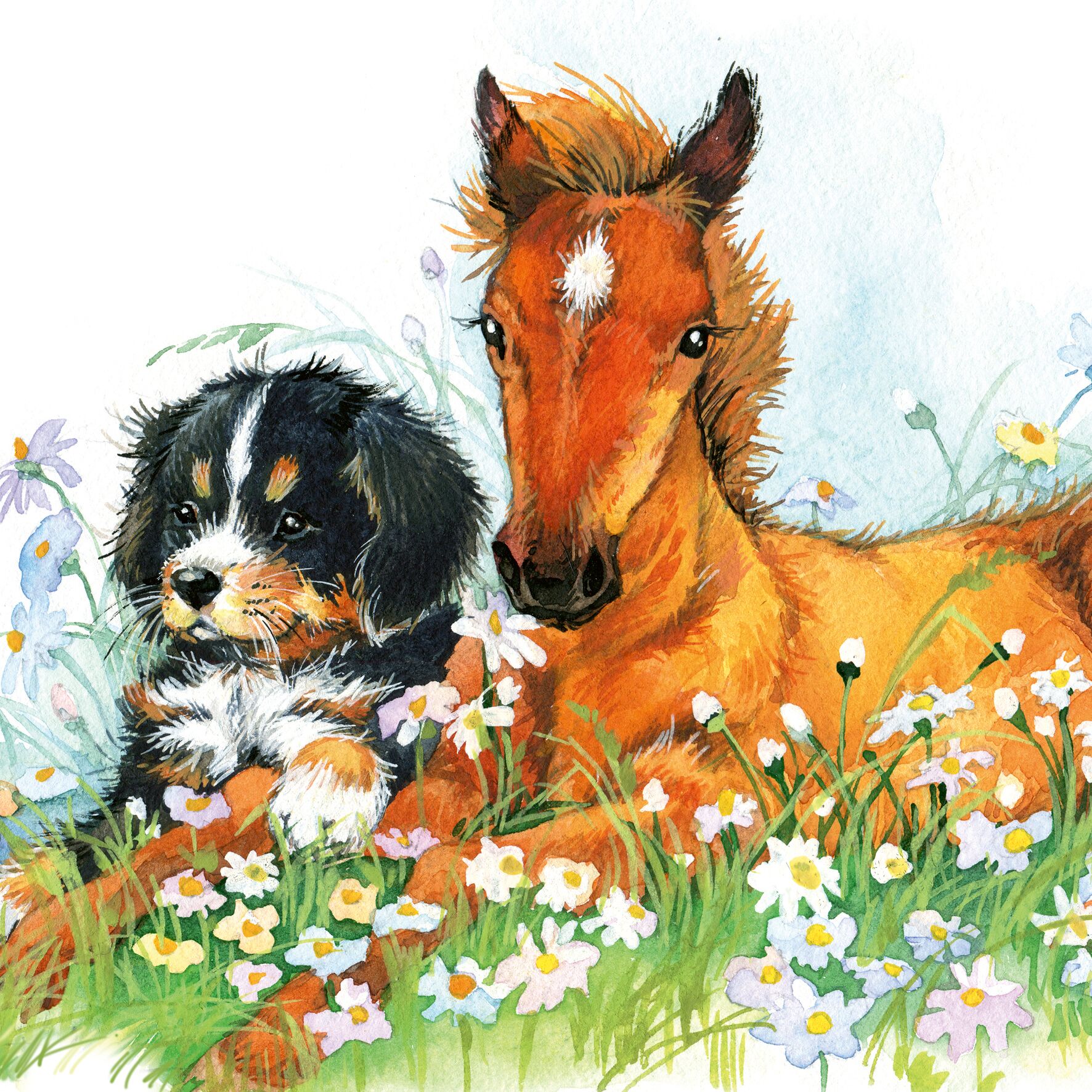 Plenty Gifts Kaart CS Bernese & Horse