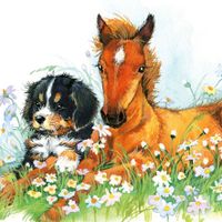Plenty Gifts Kaart CS Bernese & Horse