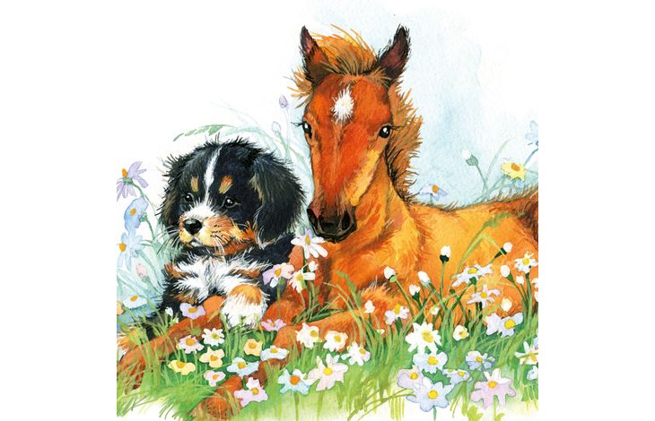 Plenty Gifts Kaart CS Bernese & Horse