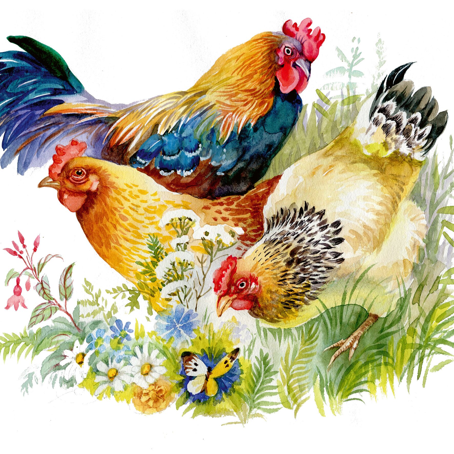 Plenty Gifts Kaart CS Three Chickens