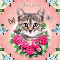 Plenty Gifts Kaart CS Cat Flowers