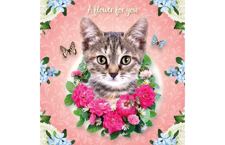 Plenty Gifts Kaart CS Cat Flowers