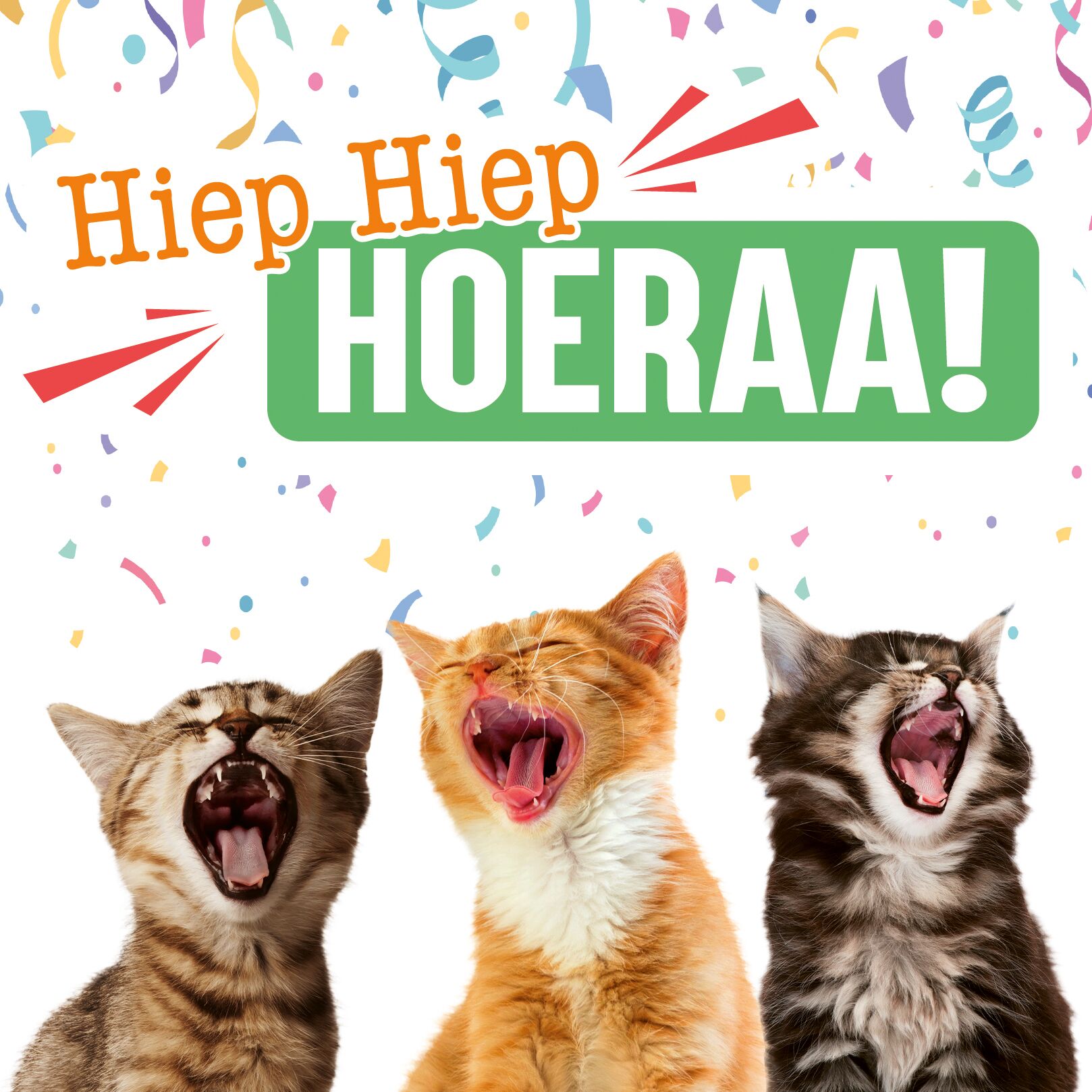 Plenty Gifts Kaart Hiep Hiep Hoera Katten