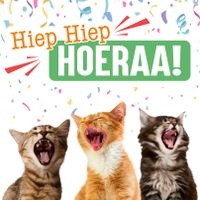 Plenty Gifts Kaart Hiep Hiep Hoera Katten