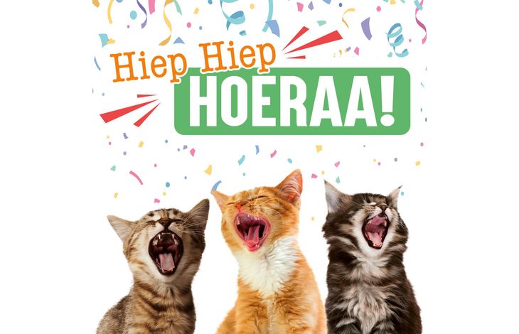 Plenty Gifts Kaart Hiep Hiep Hoera Katten