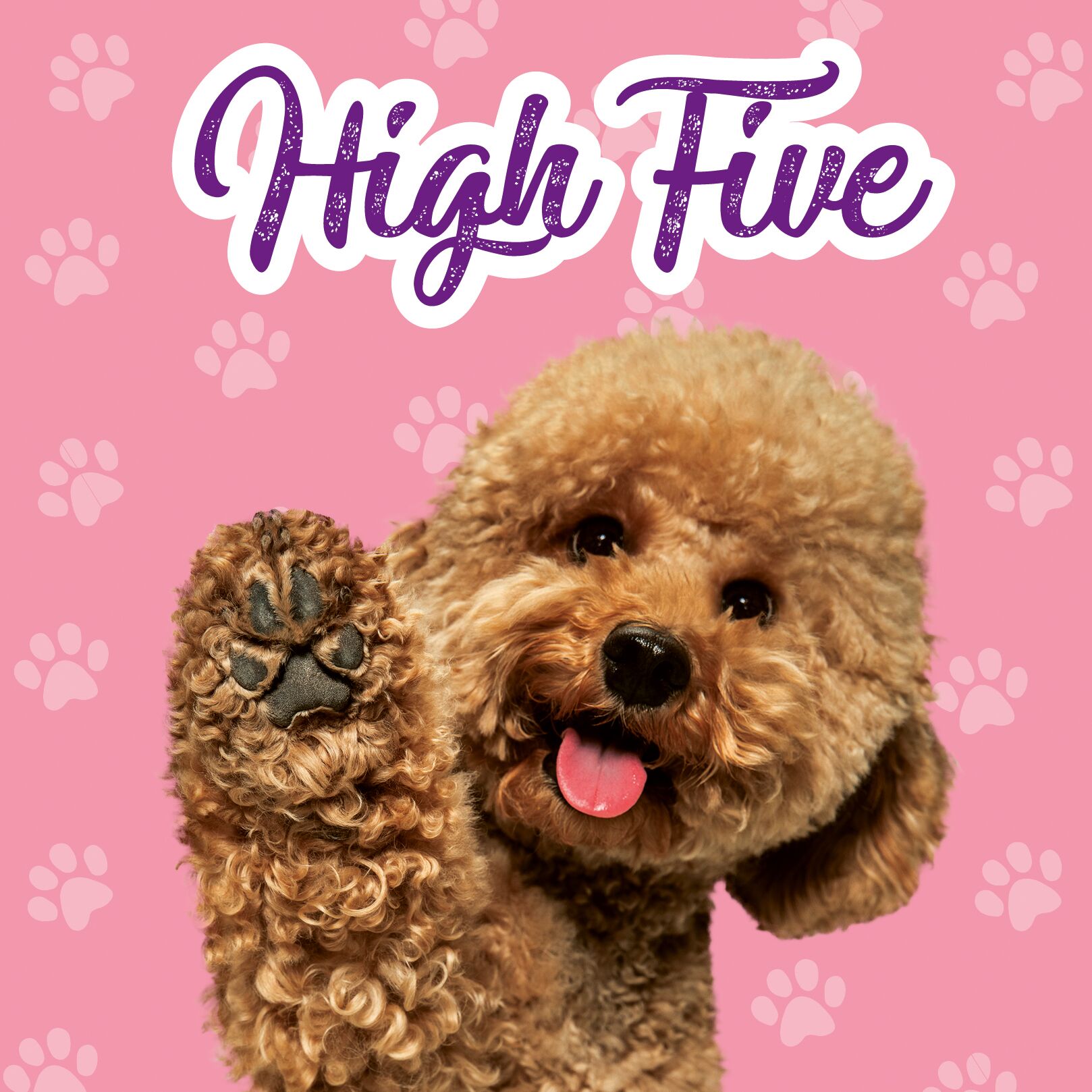 Plenty Gifts Kaart High Five