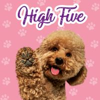 Plenty Gifts Kaart High Five