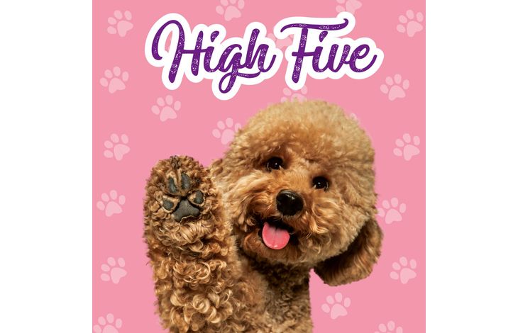 Plenty Gifts Kaart High Five