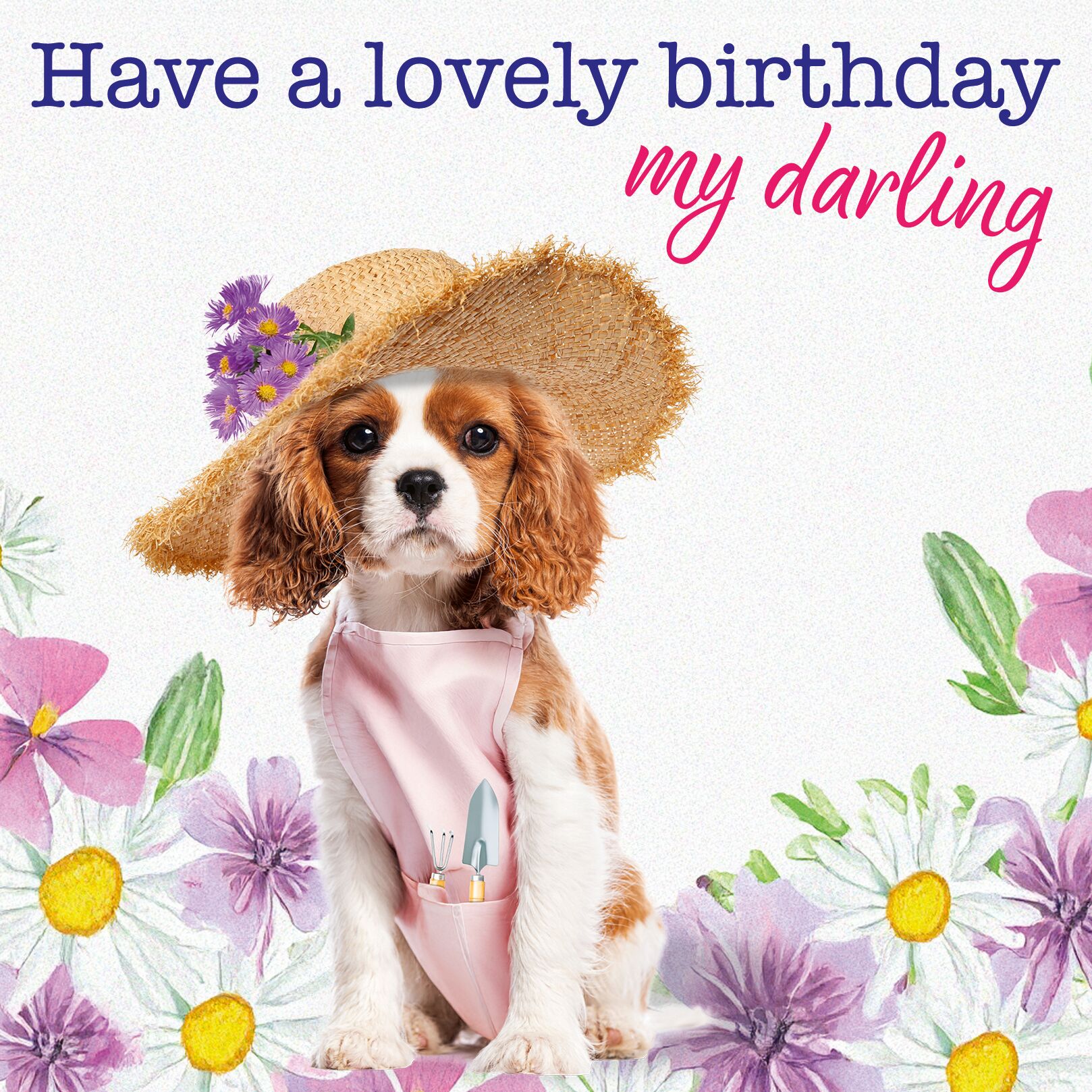 Plenty Gifts Kaart Lovely Birthday Darling