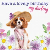 Plenty Gifts Kaart Lovely Birthday Darling