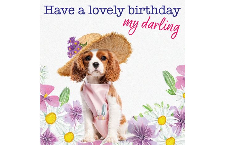 Plenty Gifts Kaart Lovely Birthday Darling