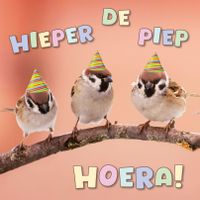 Plenty Gifts Kaart Hieper De Piep