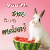 Plenty Gifts Kaart One In A Melon