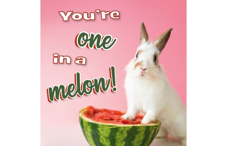 Plenty Gifts Kaart One In A Melon