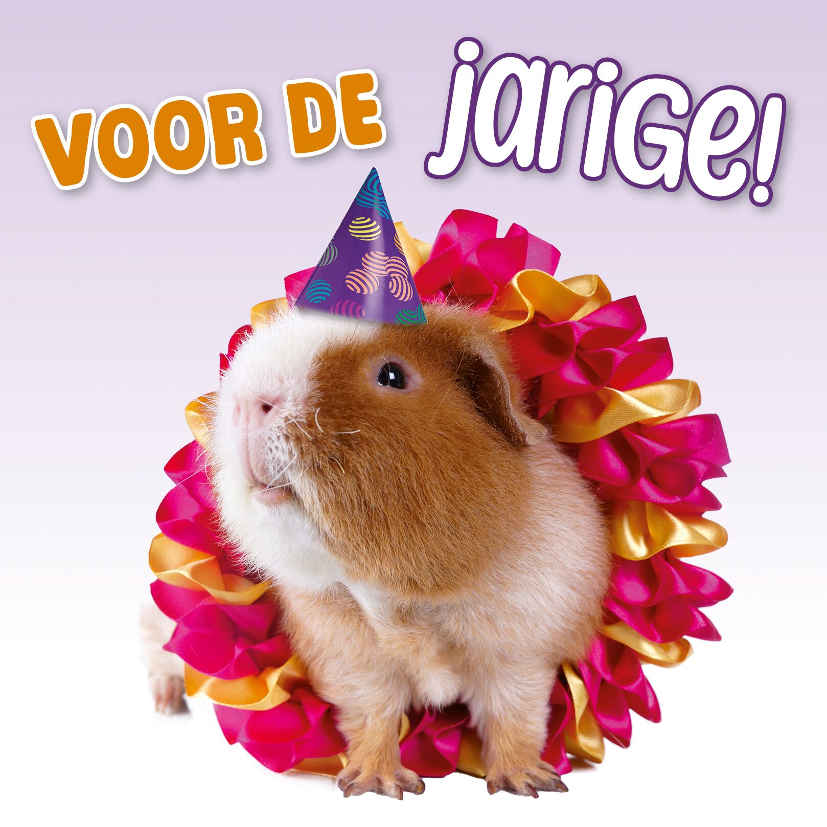 Plenty Gifts Kaart Voor De Jarige