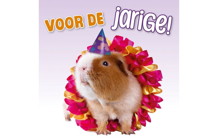 Plenty Gifts Kaart Voor De Jarige