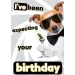 Kaart A5 Expecting Your Birthday (v)