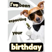 Plenty Gifts Kaart A5 Expecting Your Birthday (v)