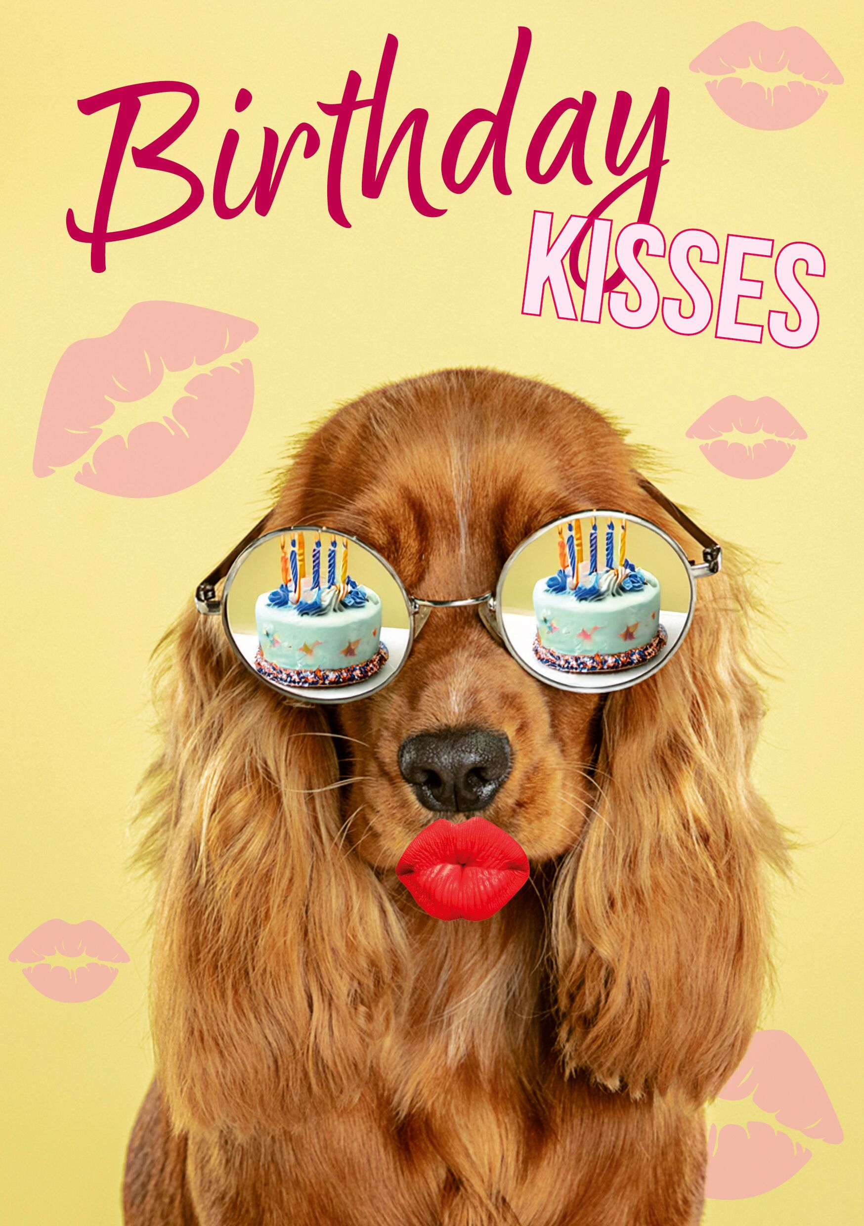 Plenty Gifts Kaart A5 Birthday Kisses Spaniel (v)
