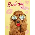 Kaart A5 Birthday Kisses Spaniel (v)