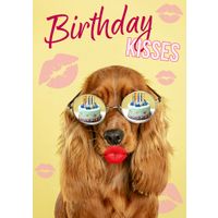 Plenty Gifts Kaart A5 Birthday Kisses Spaniel (v)