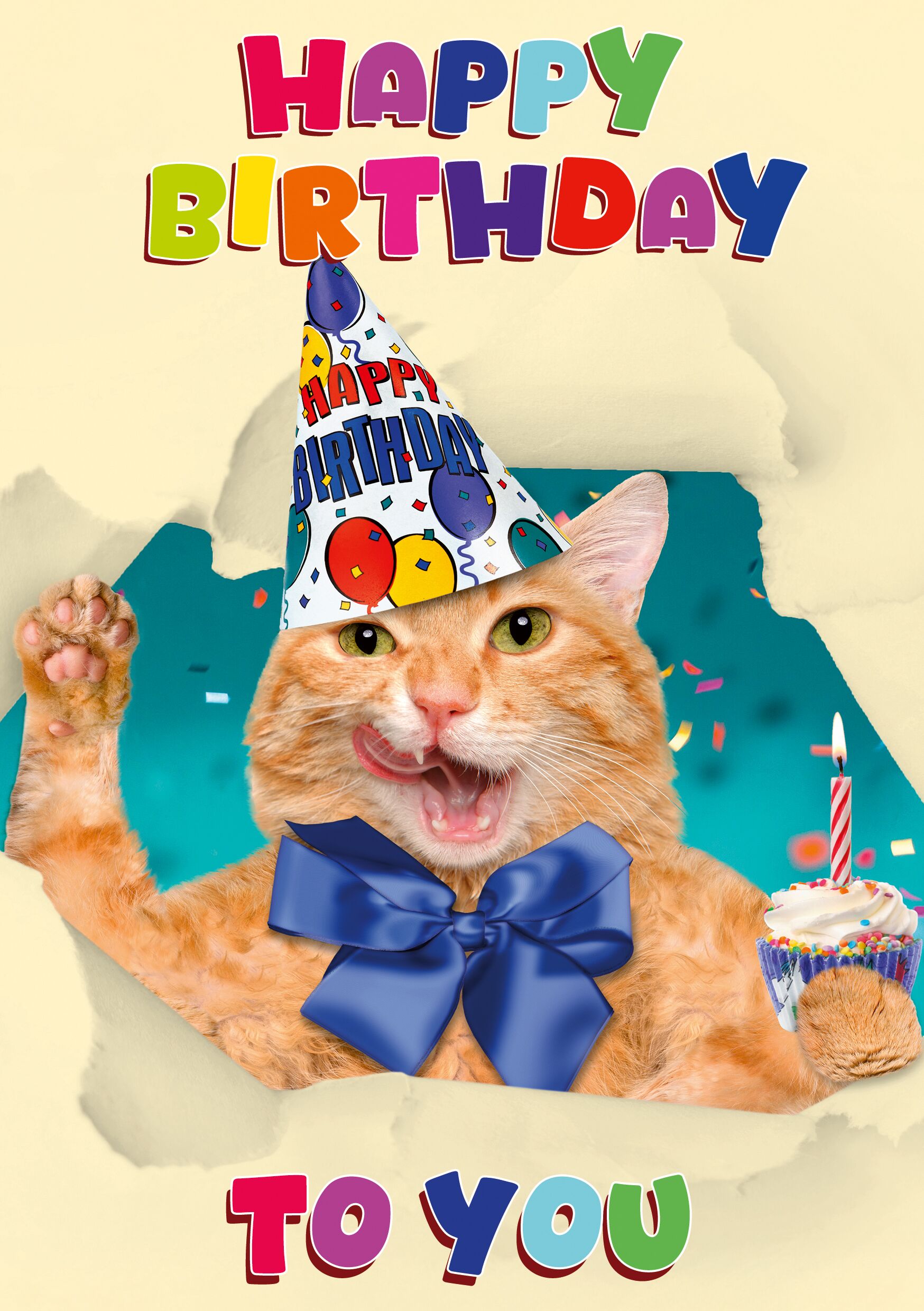 Plenty Gifts Kaart A5 Happy Birthday Cat (v)