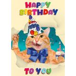 Kaart A5 Happy Birthday Cat (v)