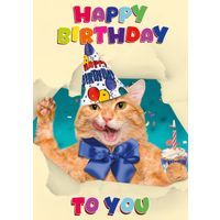 Plenty Gifts Kaart A5 Happy Birthday Cat (v)