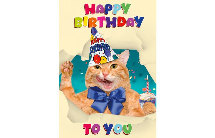 Plenty Gifts Kaart A5 Happy Birthday Cat (v)