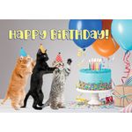 Kaart A5 Happy Birthday Kittens (h)