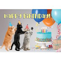 Plenty Gifts Kaart A5 Happy Birthday Kittens (h)