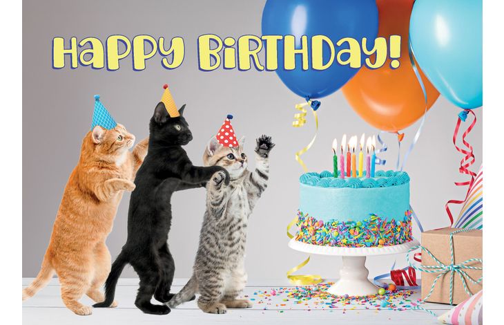 Plenty Gifts Kaart A5 Happy Birthday Kittens (h)